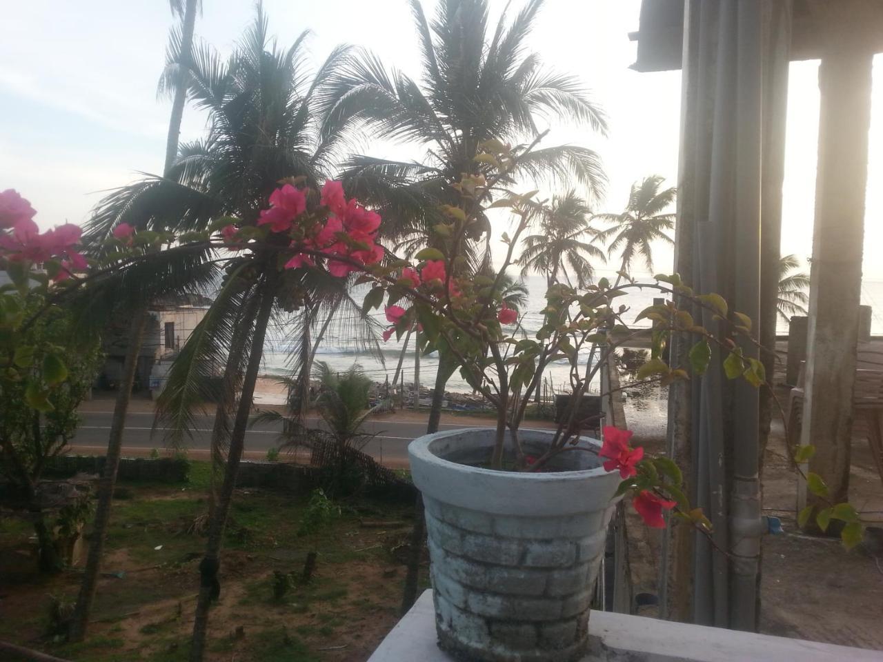 米瑞莎太阳海旅馆酒店 外观 照片